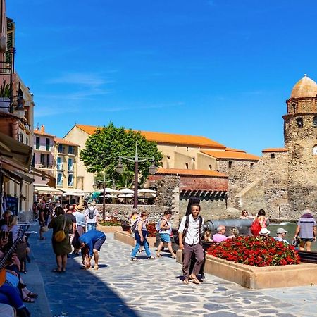 Petit Nid Catalan , 10 Minutes Des Plages Perpignan Exteriér fotografie